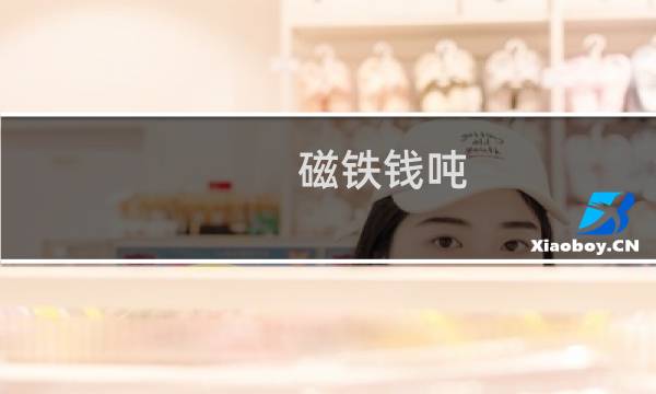 磁铁钱吨