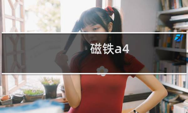 磁铁a4