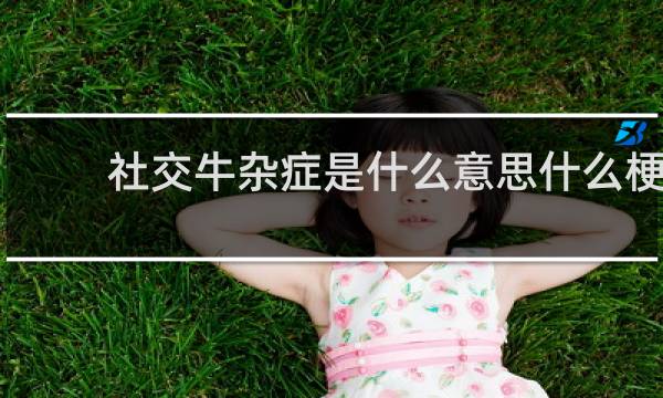 社交牛杂症是什么意思什么梗
