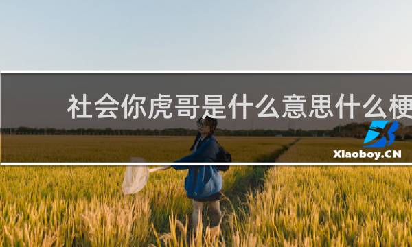 社会你虎哥是什么意思什么梗