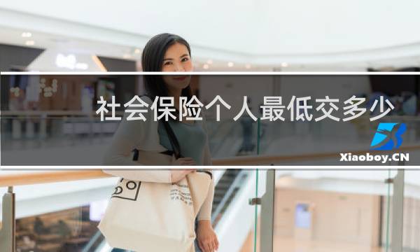 社会保险个人最低交多少
