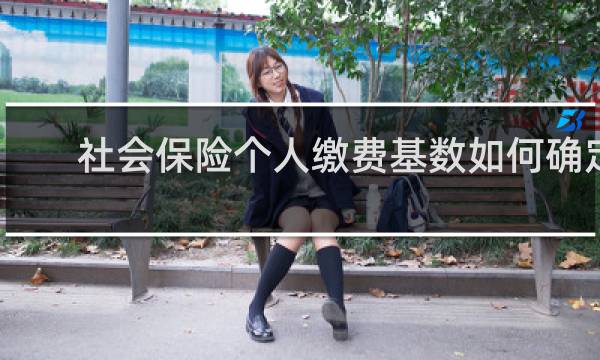 社会保险个人缴费基数如何确定