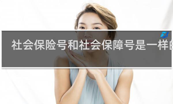 社会保险号和社会保障号是一样的吗