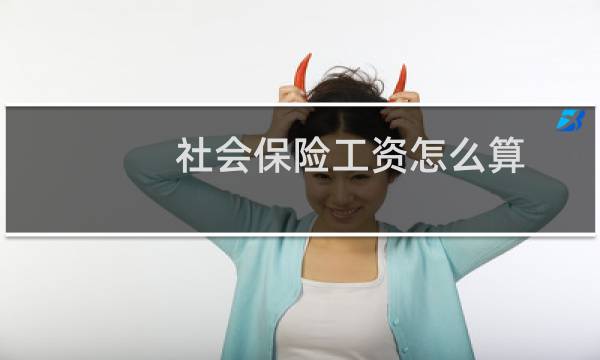 社会保险工资怎么算