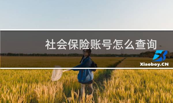 社会保险账号怎么查询图片