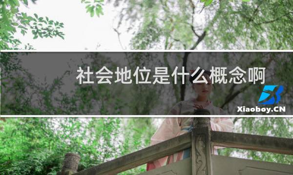 社会地位是什么概念啊