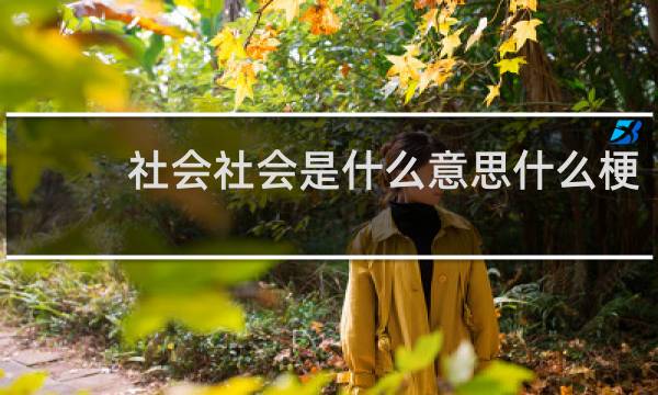 社会社会是什么意思什么梗