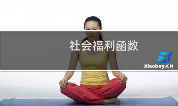 社会福利函数图片