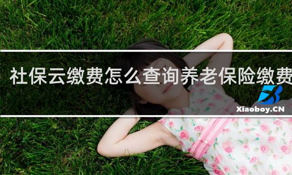 社保云缴费怎么查询养老保险缴费记录