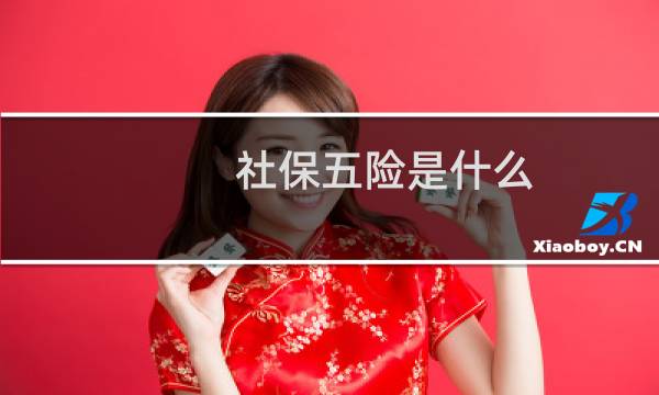 社保五险是什么