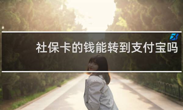 社保卡的钱能转到支付宝吗