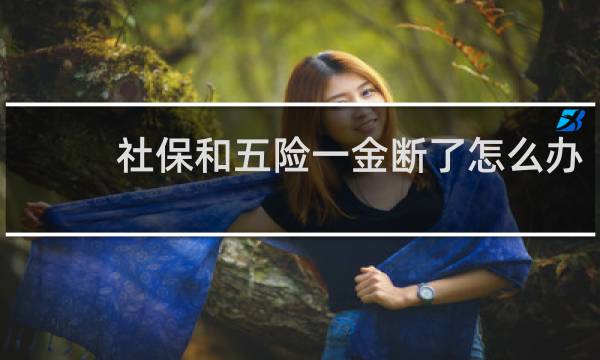 社保和五险一金断了怎么办图片