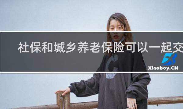 社保和城乡养老保险可以一起交吗