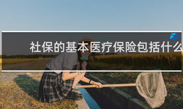 社保的基本医疗保险包括什么图片