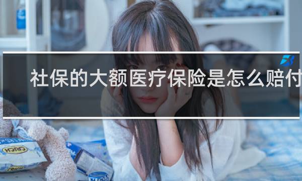社保的大额医疗保险是怎么赔付的