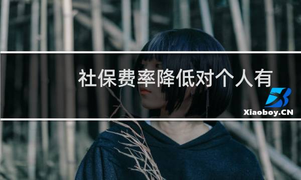 社保费率降低对个人有什么影响（社保费率再调整）
