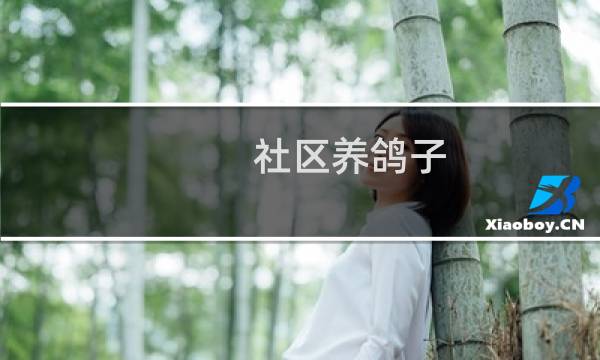 社区养鸽子