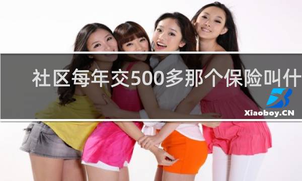 社区每年交500多那个保险叫什么图片