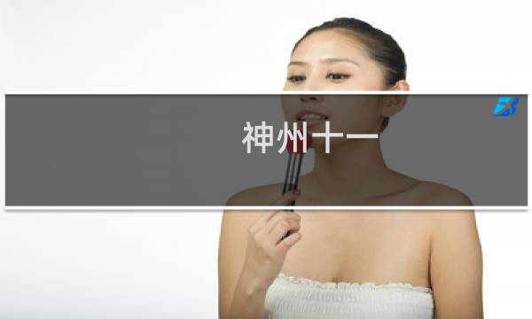 神州十一