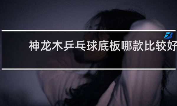 神龙木乒乓球底板哪款比较好