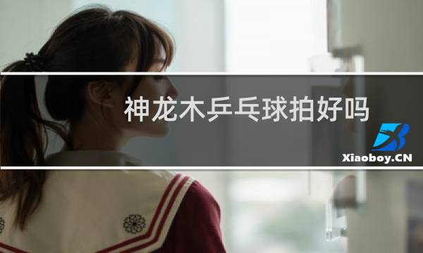 神龙木乒乓球拍好吗