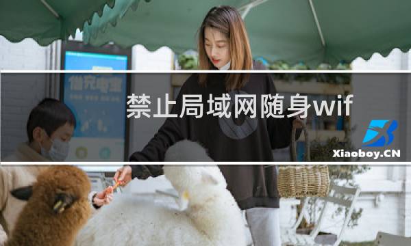 禁止局域网随身wif、禁止局域网安装无线路由、禁止员工无线上网