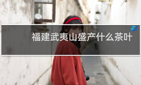 福建武夷山盛产什么茶叶图片