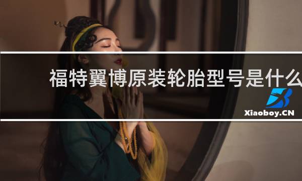福特翼博原装轮胎型号是什么