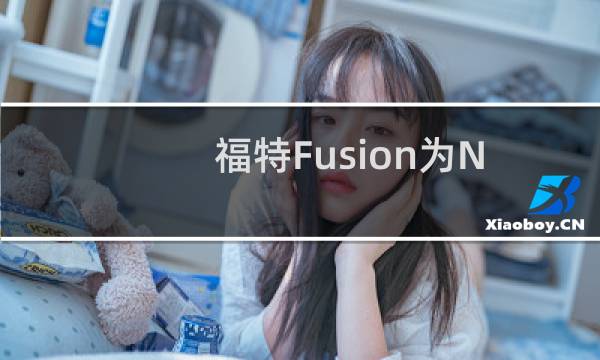 福特Fusion为NASCAR带来了它的面貌图片