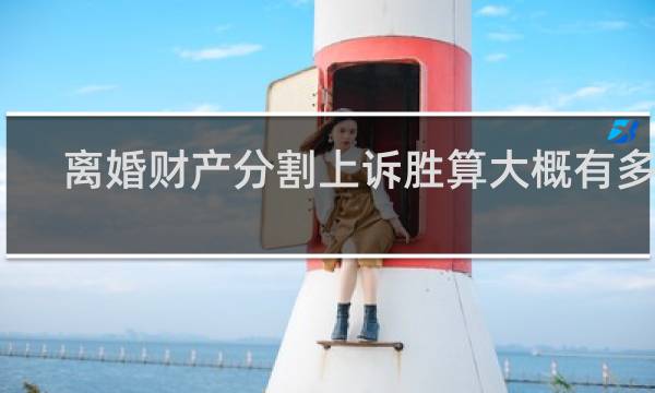 离婚财产分割上诉胜算大概有多少