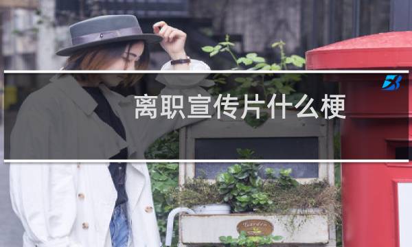 离职宣传片什么梗