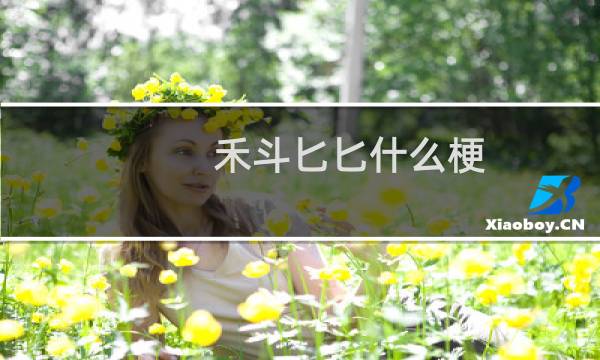 禾斗匕匕什么梗