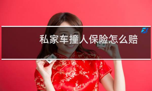 私家车撞人保险怎么赔图片