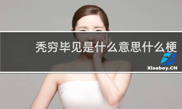 秃穷毕见是什么意思什么梗