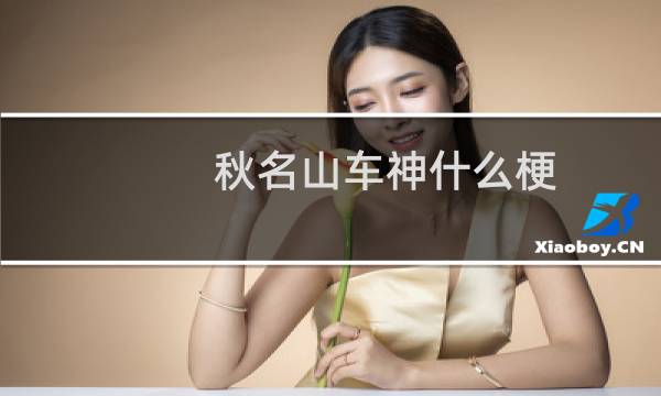 秋名山车神什么梗