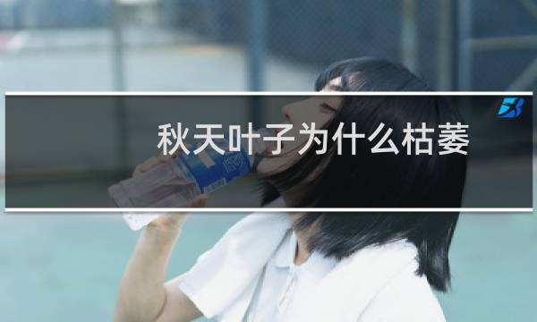 秋天叶子为什么枯萎（秋天叶子为什么会变黄）图片