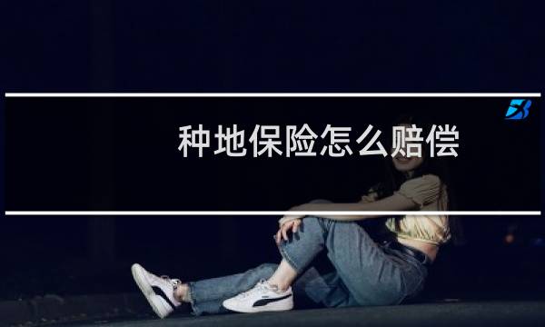 种地保险怎么赔偿