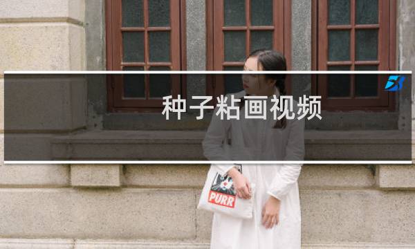 种子粘画视频（种子粘贴画）