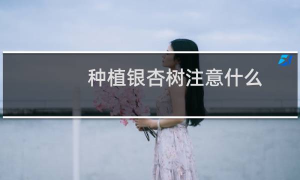 种植银杏树注意什么