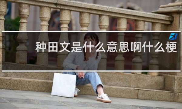 种田文是什么意思啊什么梗