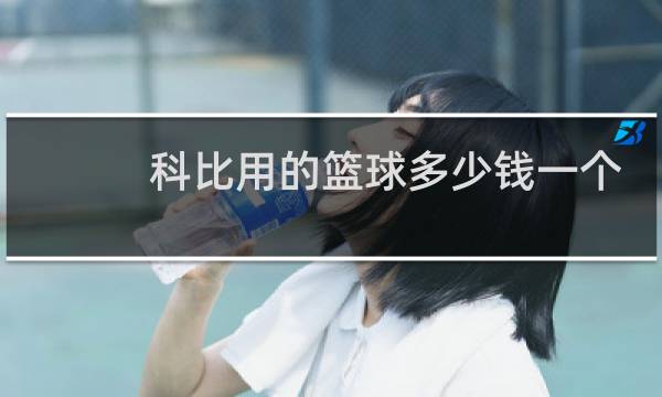 科比用的篮球多少钱一个