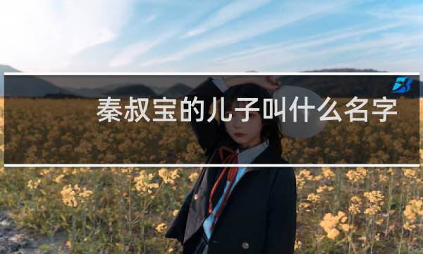 秦叔宝的儿子叫什么名字