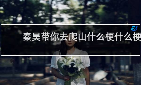 秦昊带你去爬山什么梗什么梗
