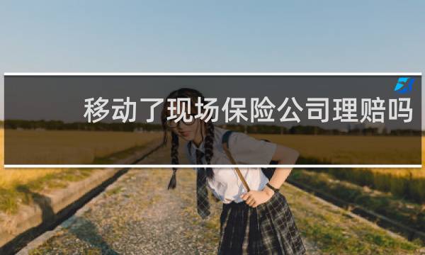 移动了现场保险公司理赔吗