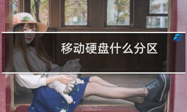 移动硬盘什么分区