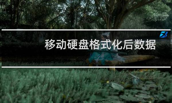 移动硬盘格式化后数据恢复