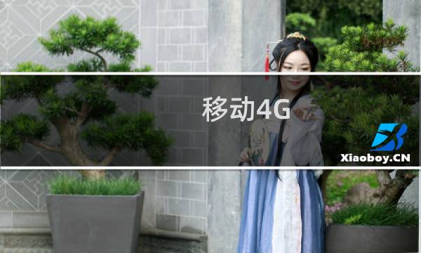 移动4G，无法访问服务器，电信4G正常