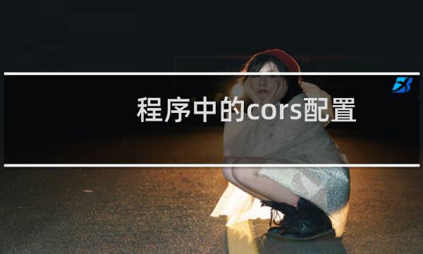 程序中的cors配置不生效呢