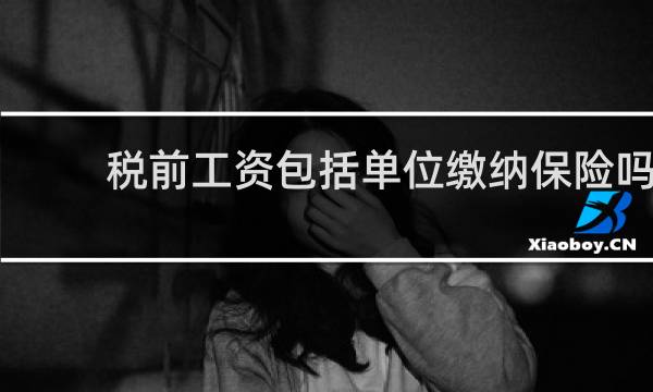 税前工资包括单位缴纳保险吗