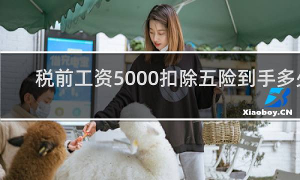 税前工资5000扣除五险到手多少图片